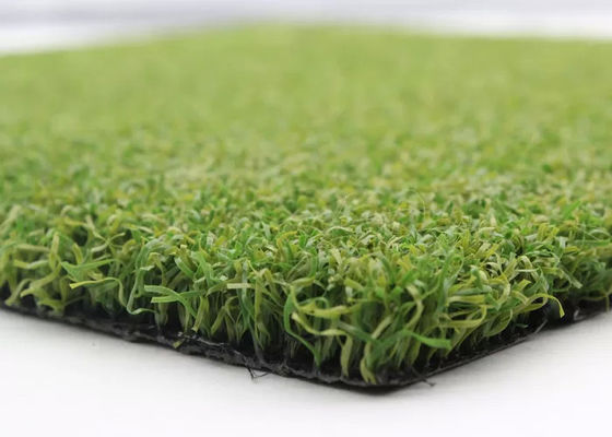 10mm Artificial Putting Surface