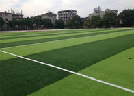 10000 Dtex 50mm Artificial Synthetic Grass For Soccer