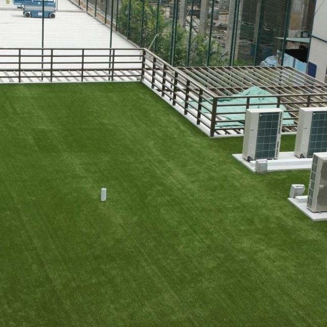 Polyethylene Low Cost Artificial Grass On Flat Roof 2040 Mm Height