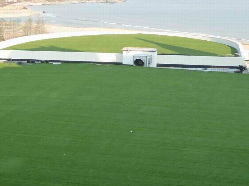 Nature Looking Artificial Grass On Shed Roof Artificial Turf That Looks