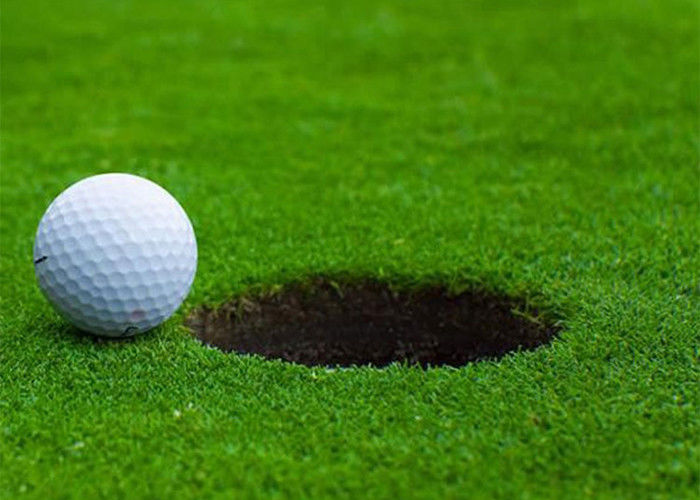 Green Carpet Mini Polypropylene Fake Grass Golf 20mm High