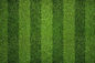 Erba artificiale del tappeto verde non pieno di Mini Football Artificial Grass 30mm