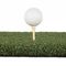 Mieszkaniowy syntetyczny golf Sztuczna trawa krajobrazowa Putting Green