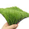 Synthetic Artificial Football Grass 50mm Durable UV Resistance 5/8inch