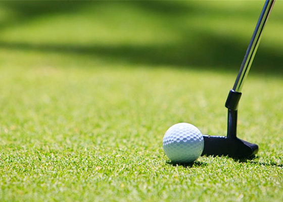 Garden Realistic Natural 10mm Golf Artificial Turf Green Oem