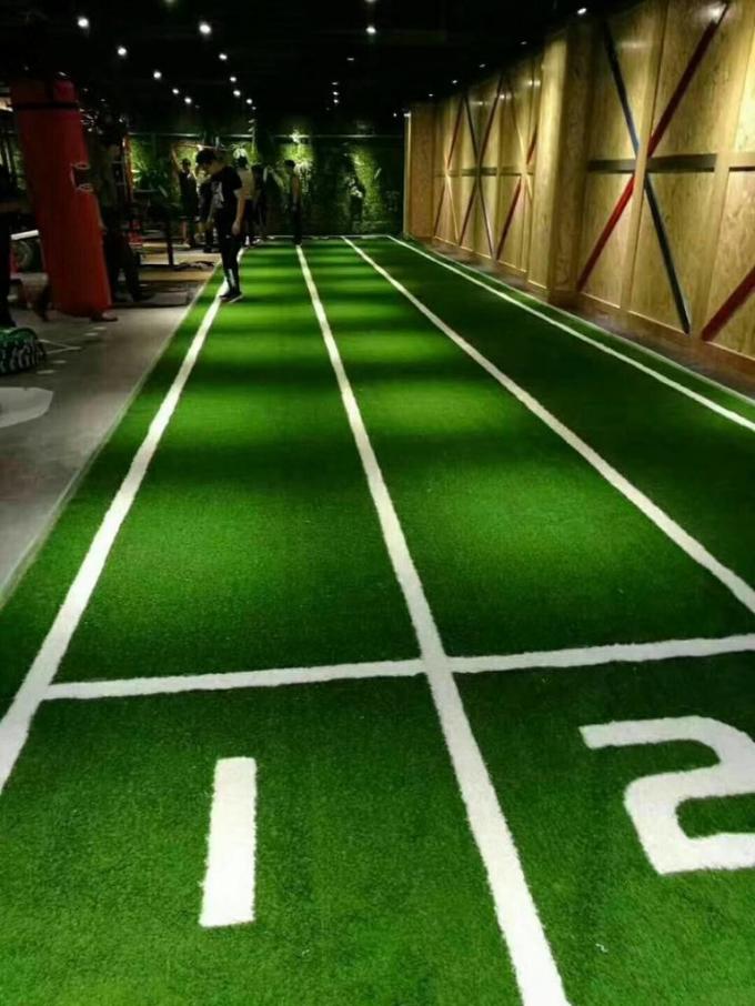 Green Forever Sports Grass Mat For Gym / Pet Friendly Synthetic Grass