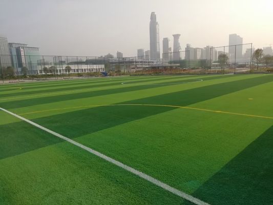 Bicolor Synthetic Futsal Artificial Grass Fire Resistant For Field Soccer