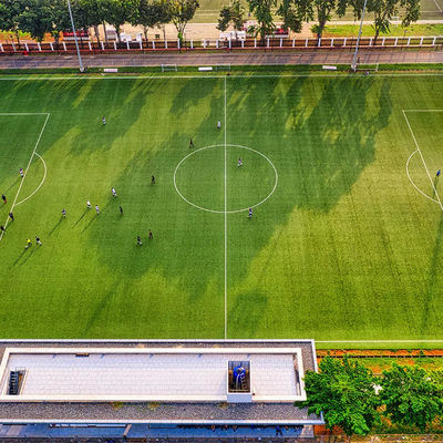 50mm PE School Artificial Outdoor Soccer Synthetic Grass