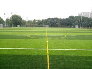 Artificial Turf On The Football Field Enhances The Drainage And Uprightness Of The Lawn