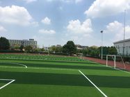 Artificial Lawn Of Football Field Without Filling  , Excellent Wear Resistance , Long Using Life , Beautiful Color