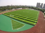 Commercial  Pet Safe Football Synthetic Grass / Synthetic Lawn Turf