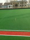 Outdoor Playground Synthetic Grass / Hard Wearing Fake Grass Landscape