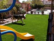 Eco - Friendly Real Looking Artificial Grass / Pet Friendly Artificial Turf