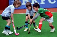 Safe Cricket Sports Artificial Grass Hockey Filed Double Layer Pp Long Service Life