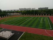 Custom Playground Synthetic Grass / Striped Artificial Grass For School Playground