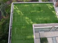 Recycle Soft Artificial Grass For Roof Terrace PP Grid Base Fabric