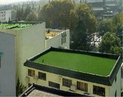 Nature Looking Artificial Grass On Shed Roof Artificial Turf That Looks Like Real Grass