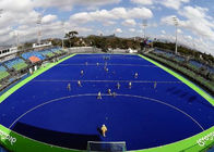 3\16 Pitch Thick Artificial 15mm Sports Synthetic Grass Turf