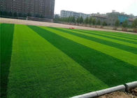 Adhesive 50mm Height Artificial Soccer Grass For Football