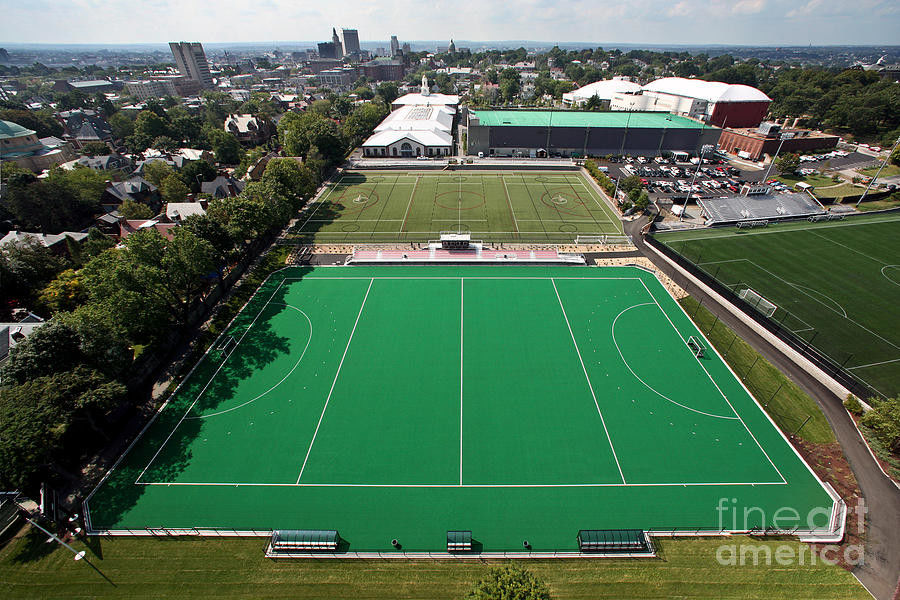 Commercial Hockey Artificial Turf  / Synthetic Lawn Turf Customized Size