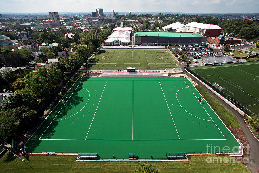 Commercial Hockey Artificial Turf / Synthetic Lawn Turf Customized Size