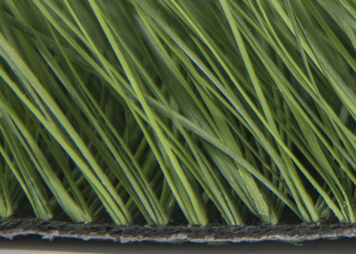 Natural Green Color Sports Polypropylene Artificial Grass Carpets
