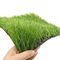 55mm Synthetic Football Artificial Grass PE Material