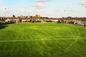 PE 50mm Football Artificial Grass Artificial Turf Football Field