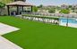 Short 10mm PP Grass Artificial Turf for Decoration Synthetic Turf