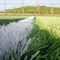 Pvc Turf Football Artificial Grass 50mm For Field Green Lemon 200s/M 3/8''