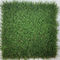 In Backyard PE PP Landscaping Artificial Grass 45mm Front Garden 160s / M