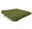 Indoor SGS Artificial Golf Turf Grass 15mm Putting Green