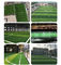 Non Infilled Fake Football Grass 25mm Artificial For Soccer  3 / 8''