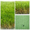 High Density SGS Landscape Artificial Grass For Kids 4m Width 25mm