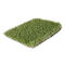 Eco-friendly artificial turf for front yard artificial lawn landscaping